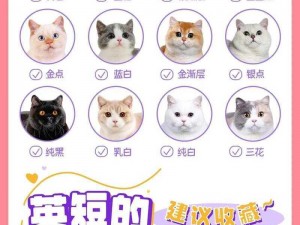 色猫、如何看待那些自称色猫的人？