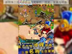 新明珠三国武将职业深度解析：技能、发展与前景