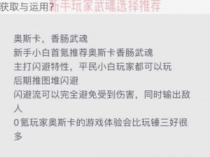 莽荒纪：魂魄购买攻略——性价比之选，如何有效获取与运用？