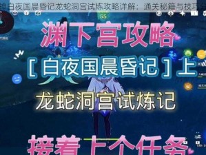 原神白夜国晨昏记龙蛇洞宫试炼攻略详解：通关秘籍与技巧分享