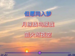 抖音热歌揭秘：探寻天上飞舞的是鸟儿还是云朵之歌