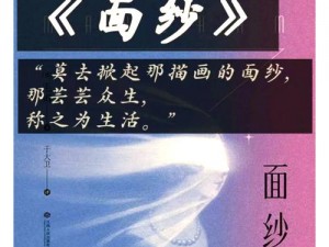 无敌大侦探案件27攻略揭秘：揭开真相的面纱，全方位破解谜题路径