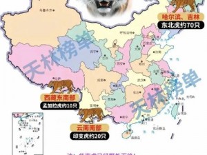 谁知道4虎的地址是多少;谁知道 4 虎的地址是多少？