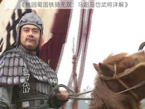 《桃园蜀国铁骑无双：马超马岱武将详解》