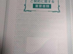 日本保险销售员 2 中字：保险界的狼性传奇