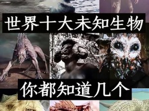 疯狂宝贝、疯狂宝贝：揭秘未知的神秘生物