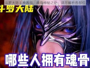 关于斗罗大陆斗神再临，魂骨神秘之处：详尽解析各部位之秘