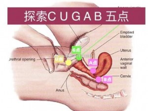 高潮抽搐痉挛magnet、高潮抽搐痉挛 magnet：探寻性快感的奥秘