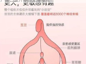 粉嫩被黑人两根粗大猛烈进出视频成人私密产品，提升你的生活品质