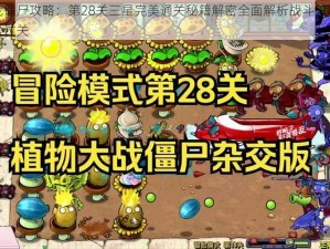 植物大战僵尸攻略：第28关三星完美通关秘籍解密全面解析战斗策略与技巧助你轻松过关