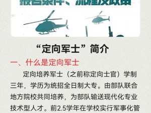 如何快速提升兵团等级：战略与实践的深度融合新探