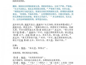 自选战国策的深度解析与洞察：探寻历史策略智慧之路