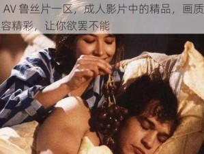 无码 AV 鲁丝片一区，成人影片中的精品，画质清晰，内容精彩，让你欲罢不能