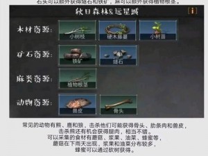 明日之后武器配方获取攻略：揭秘高效获取途径与策略方法