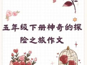 勇者的宝藏：探险之旅的魅力与奇幻故事介绍返回