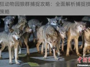 疯狂动物园狼群捕捉攻略：全面解析捕捉技巧与策略