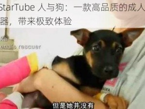 FiveStarTube 人与狗：一款高品质的成人视频播放器，带来极致体验