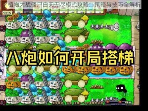 植物大战僵尸白天无尽模式攻略：策略与技巧全解析