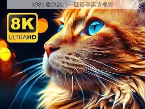 k98s 播放器：一键畅享高清视界