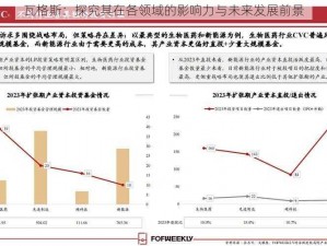 瓦格斯：探究其在各领域的影响力与未来发展前景