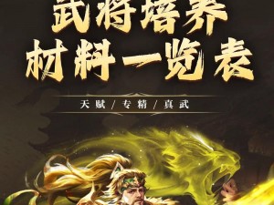 深入攻略：变身吧主公如何高效培养强大武将