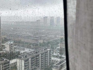 室外春雨绵绵室内依旧热闹非凡