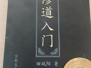 纯阳体炼成秘诀：探寻侠客之道，揭秘纯阳体修炼全攻略