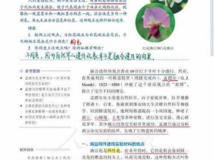 以自身为繁衍例子，看生物老师如何演绎生命的奥秘