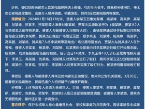 8x8x 华人视频会议：高清流畅，安全稳定，让沟通无国界