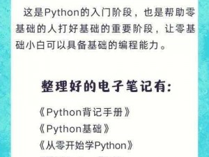 当代人类文化中的 Python 人马兽——集编程与艺术于一身的强大产品