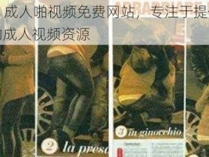 国产 a 成人啪视频免费网站，专注于提供高清无码的成人视频资源