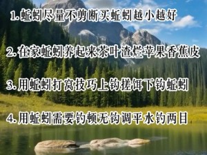 小森生活：快速掌握钓鱼技巧攻略，畅享垂钓乐趣