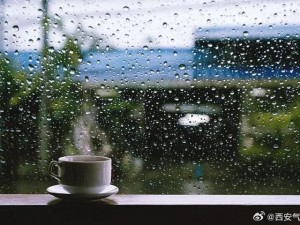 屋外下大雨屋内下小雨，网友：这房子还能住人吗？