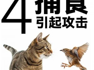 套捕猫方法视频：高效捕捉野猫的实用技巧分享