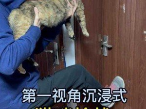 猫咪生存挑战：沉浸式截图预览体验揭示猫儿世界的冒险旅程