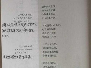 小诗的jianying日记小说;探寻小诗的 jianying 日记小说背后的故事