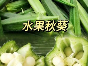 秋葵丝瓜茄子草莓榴莲樱桃,秋葵丝瓜茄子草莓榴莲樱桃，你喜欢哪种蔬菜和水果？