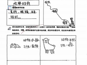 深度参与动物朋友展览区：道具使用心得分享之旅