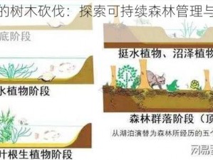 和睦森林的树木砍伐：探索可持续森林管理与平衡发展的路径