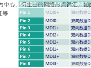 以 pin6 品色堂为中心，衍生出的网络热点词汇，如pin6 品色堂事件pin6 品色堂走红等