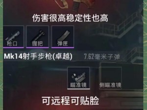 地铁：离去 全武器弹药图鉴详解：探索各种武器的性能与特点