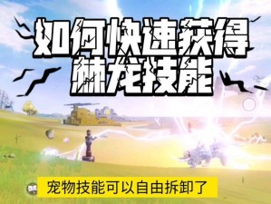 妄想山海：专业指南，解析宠物捕捉全流程教学，助您轻松捕获心仪神兽