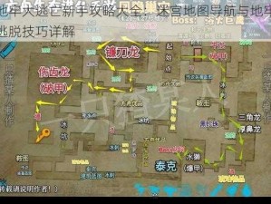 地牢大逃亡新手攻略大全：迷宫地图导航与地牢逃脱技巧详解