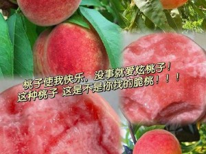 蜜桃网站：优质水果，甜蜜享受