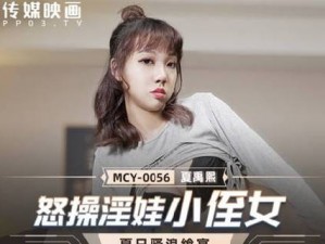 国产精品理伦天美传媒，一款集多种功能于一身的高品质视频播放软件