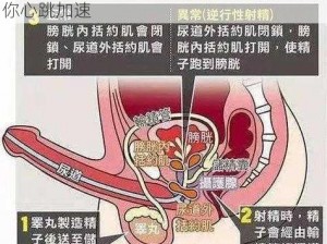 巨大偷拍动漫，体内射精，极度刺激，让你心跳加速