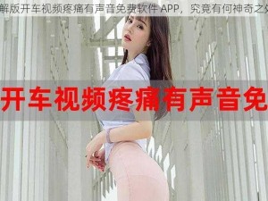 破解版开车视频疼痛有声音免费软件 APP，究竟有何神奇之处？