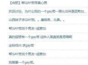 Gay 圈术语：同志交友神器，一键匹配你的专属伴侣