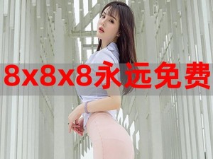 8x8x 解析代码：揭秘网络热点背后的秘密