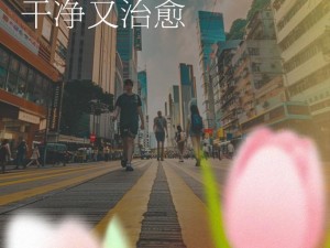 淡化的世界家庭篇 1-5 寒玉——精致玉石打造，演绎家的温暖与珍贵